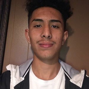 Meet your Posher, Pedro